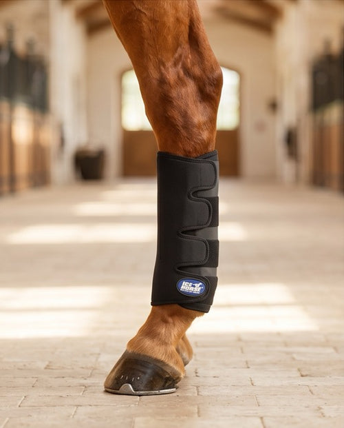 Botas