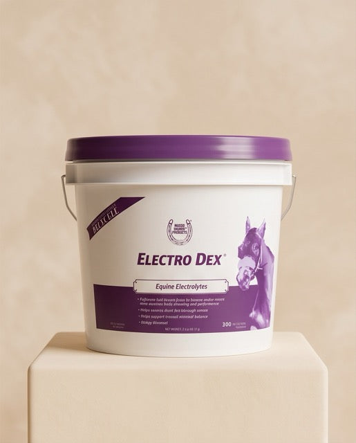 Electrolitos