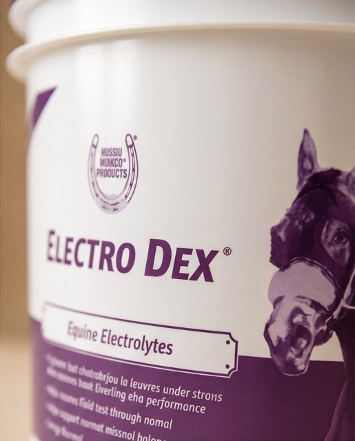 Electrolitos
